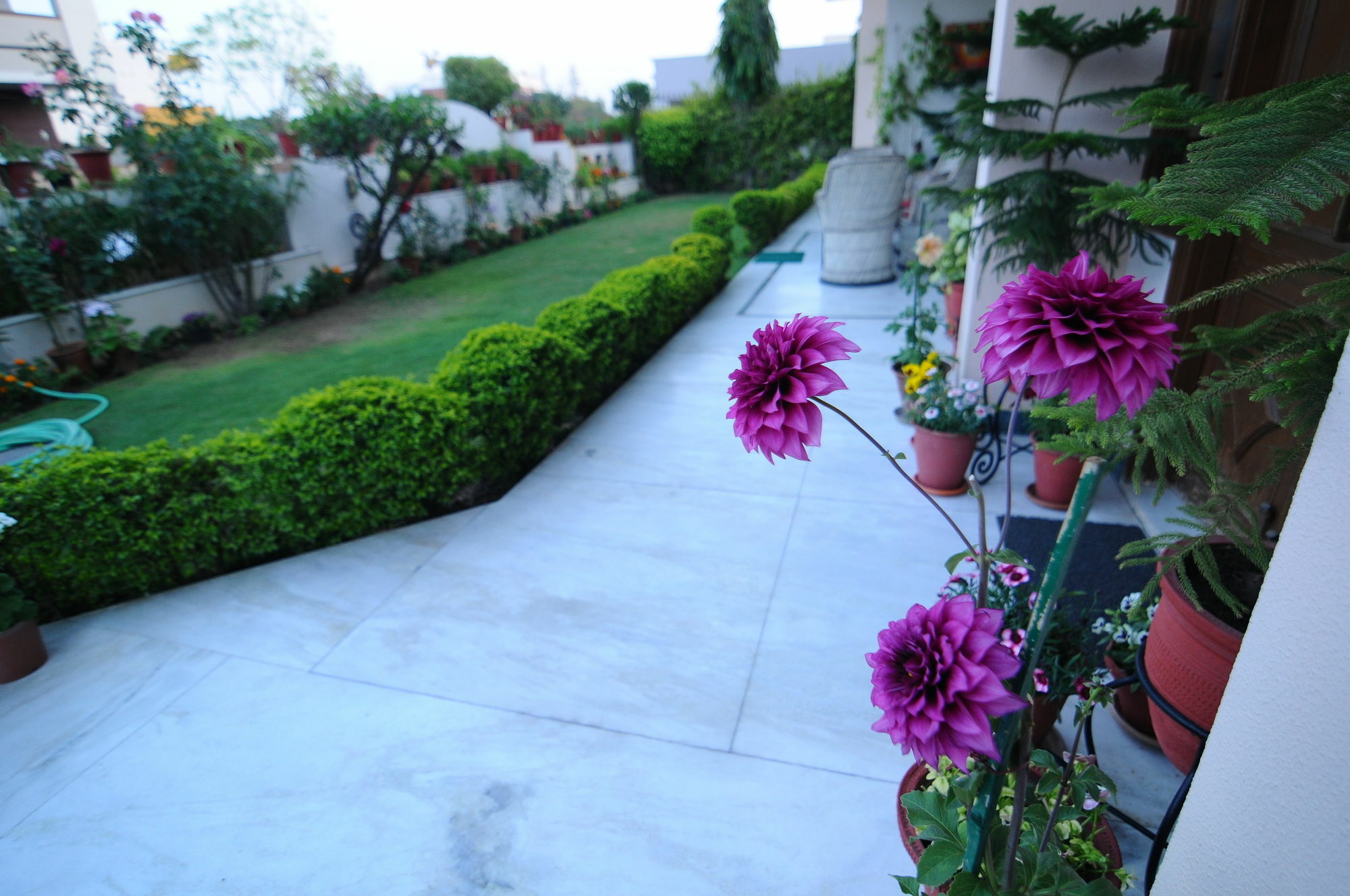 Jaipur Friendly Villa Buitenkant foto